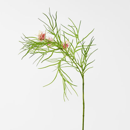 叶银桦 92Cm 粉色