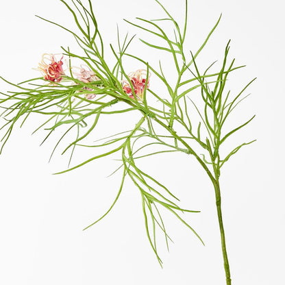 叶银桦 92Cm 粉色