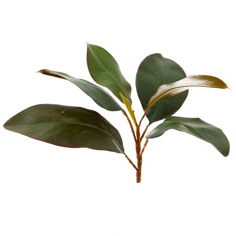 Magnolia Leaf Spray 28Cm Green