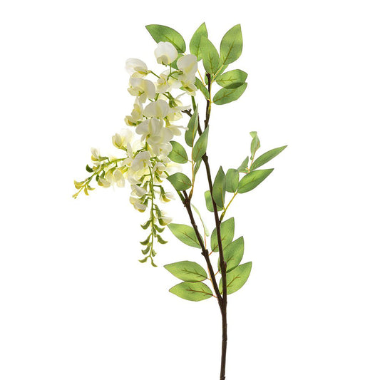 Wisteria Spray 1M White