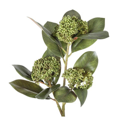 木兰花浆果喷雾 80cm 绿色