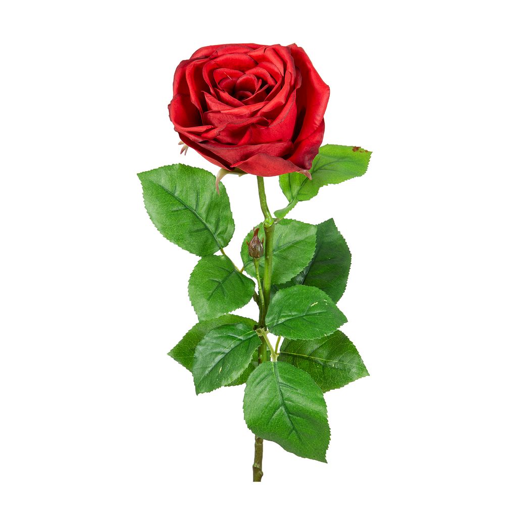 Cabbage Rose Real Touch 65Cm Red