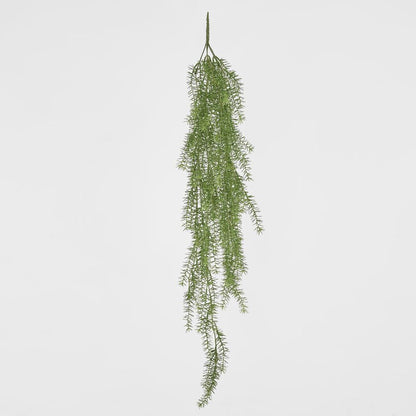 芦笋吊挂灌木 1.05M