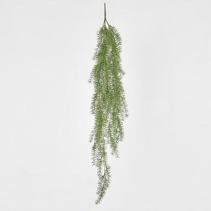 芦笋吊挂灌木 1.05M