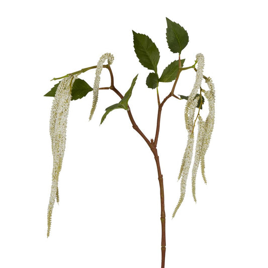 Amaranthus Hanging Plant 90Cm White