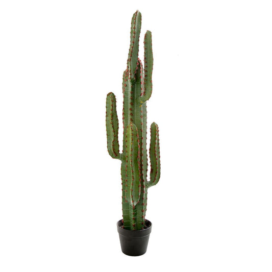 Desert Cactus Xl 1.15M