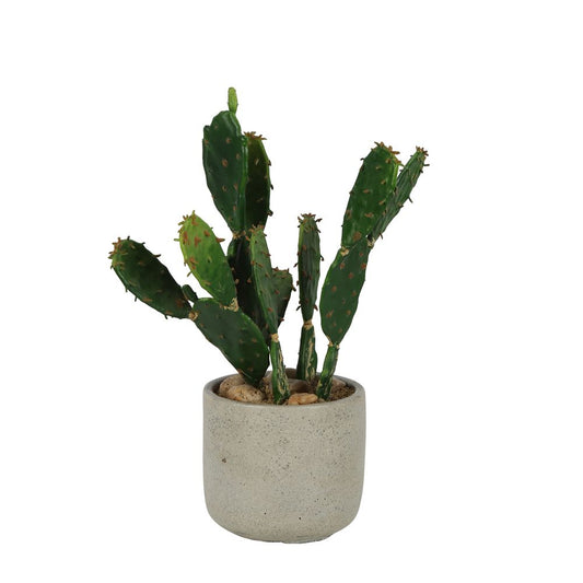 Desert Cactus 32Cm