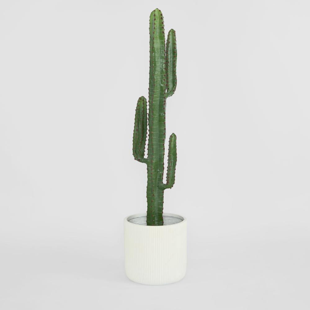 Desert Cactus 1.56M