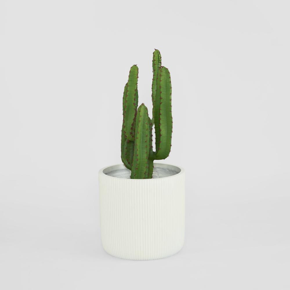 Desert Cactus 82Cm