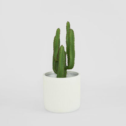 Desert Cactus 82Cm