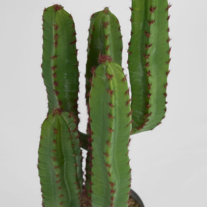 Desert Cactus 82Cm