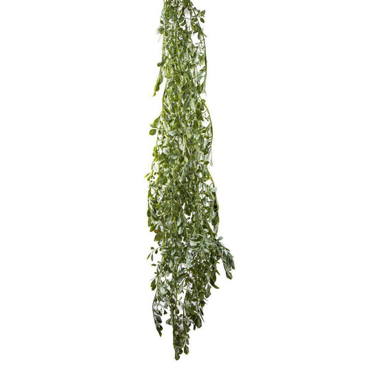 Citrus Bush 1.6M