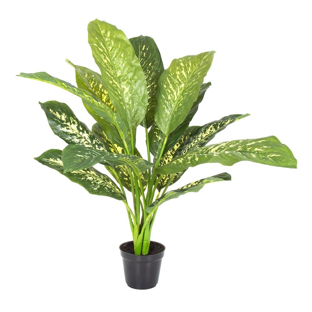 Cane Plant Real Touch In Pot Medium 63Cm