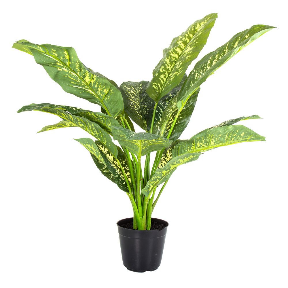 Cane Plant Real Touch In Pot Large 85Cm