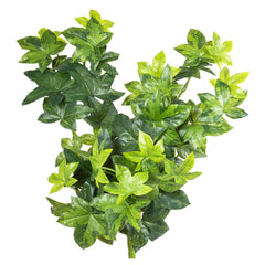 Ivy Bush Real Touch 80Cm