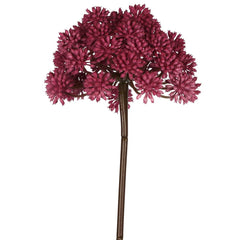 Allium 98Cm Fuschia