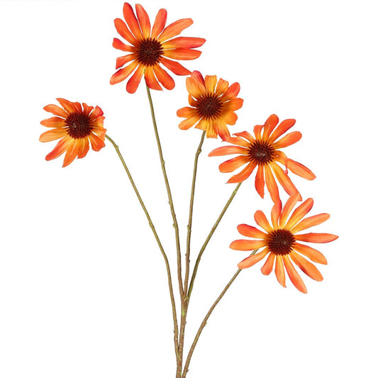 Black Eyed Susan Stem 82Cm Orange