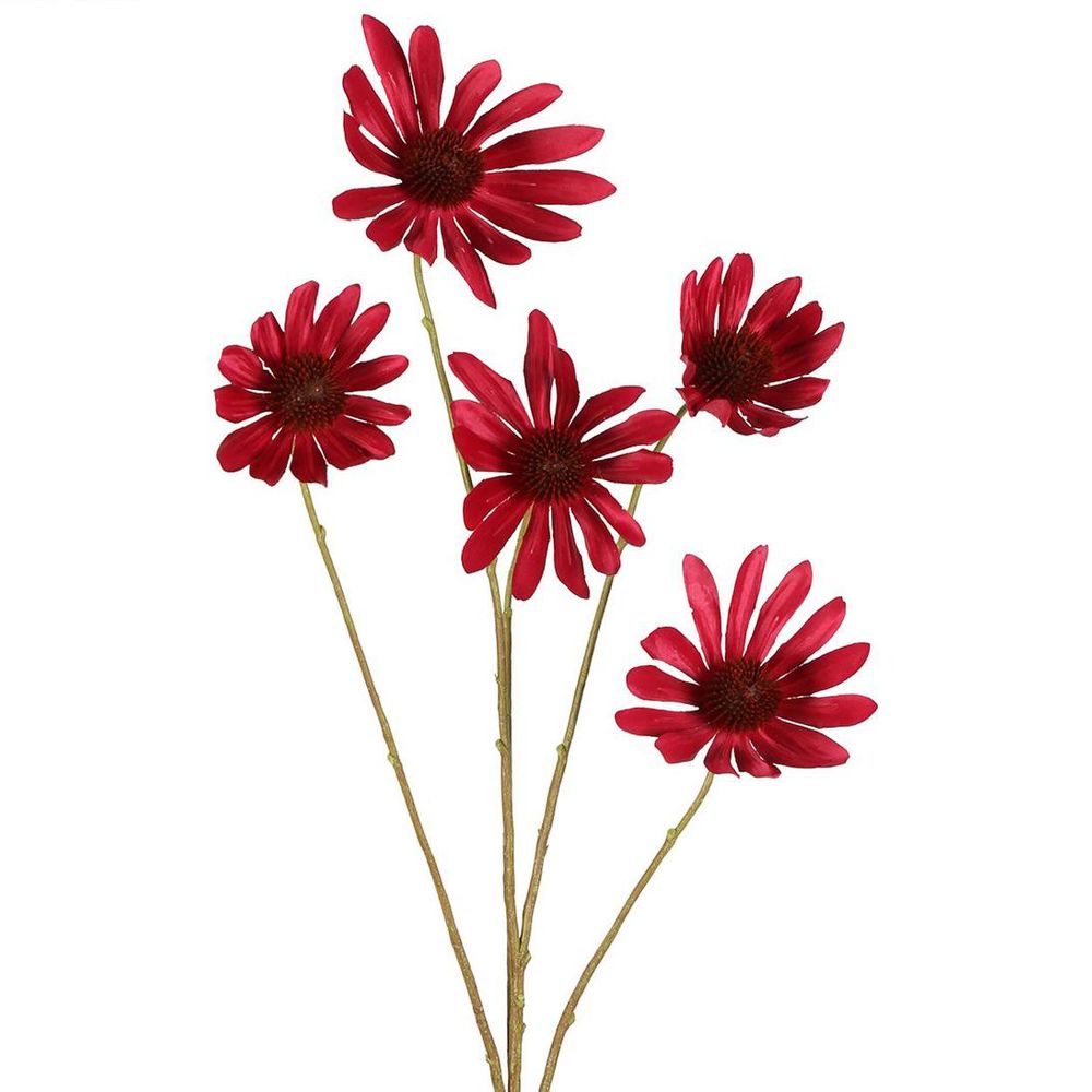 Black Eyed Susan Stem 82Cm Beauty