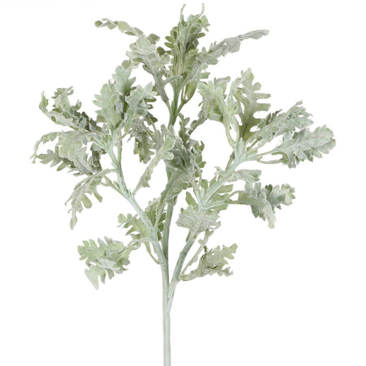 Dusty Miller 植绒喷雾 40Cm 灰绿色