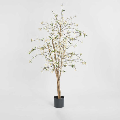 樱花树1.8M