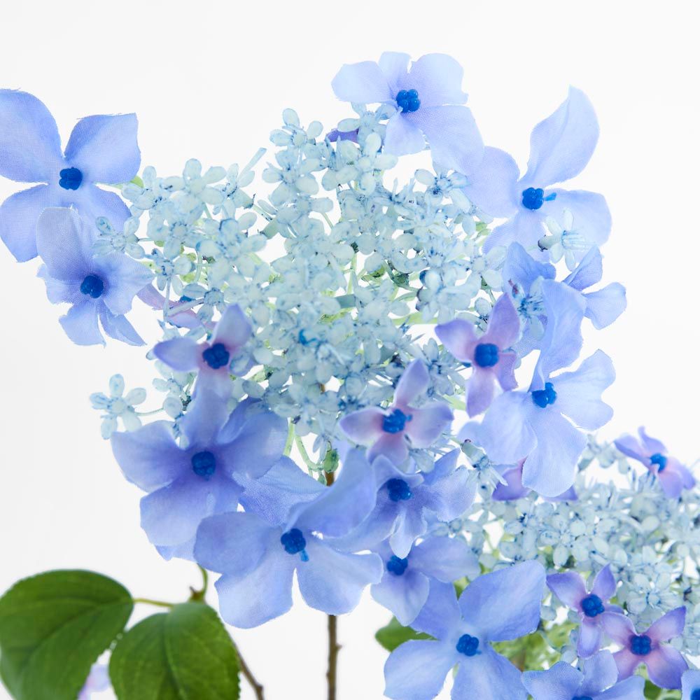 绣球花喷雾70cm蓝色