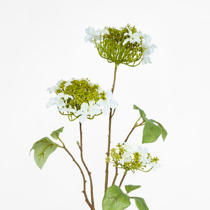 Hydrangea Spray 70cm White
