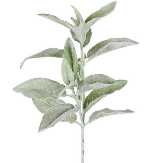 Lamb'S Ear Flocked Stem 71Cm Green