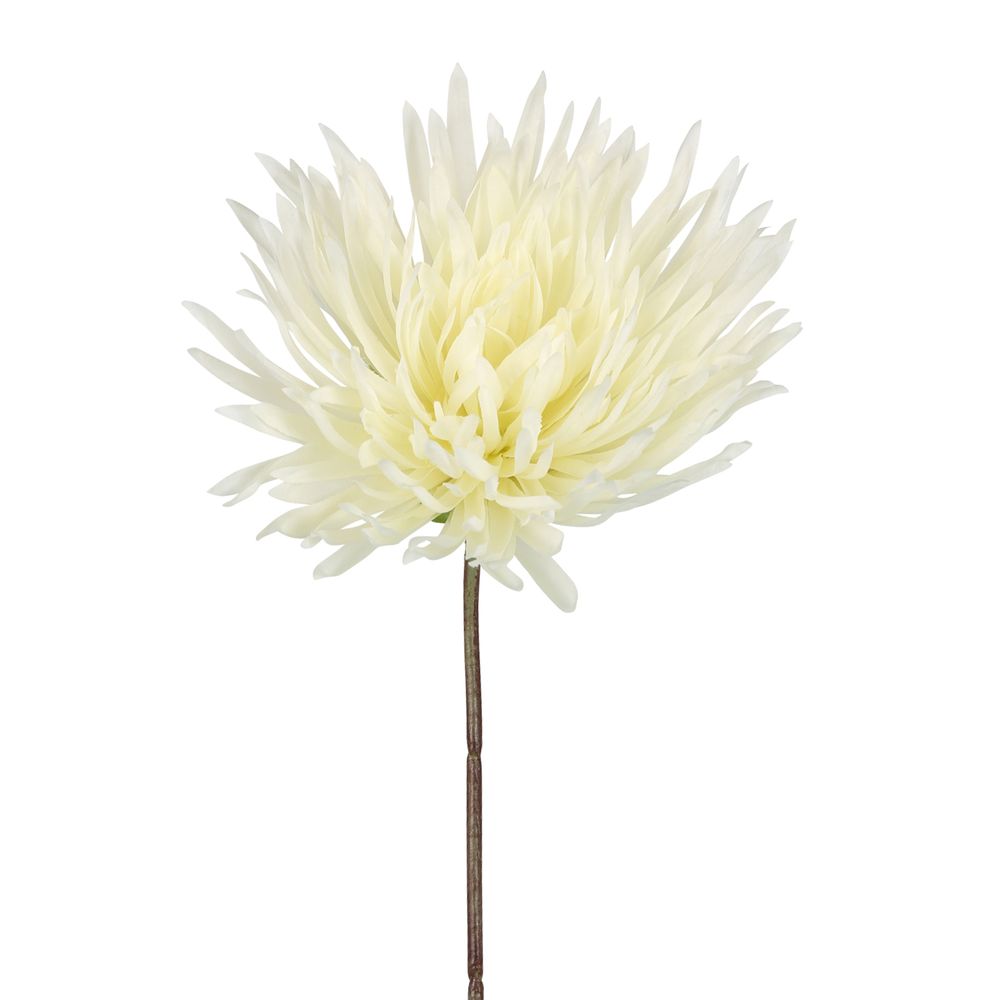 Mum Stem 71Cm White