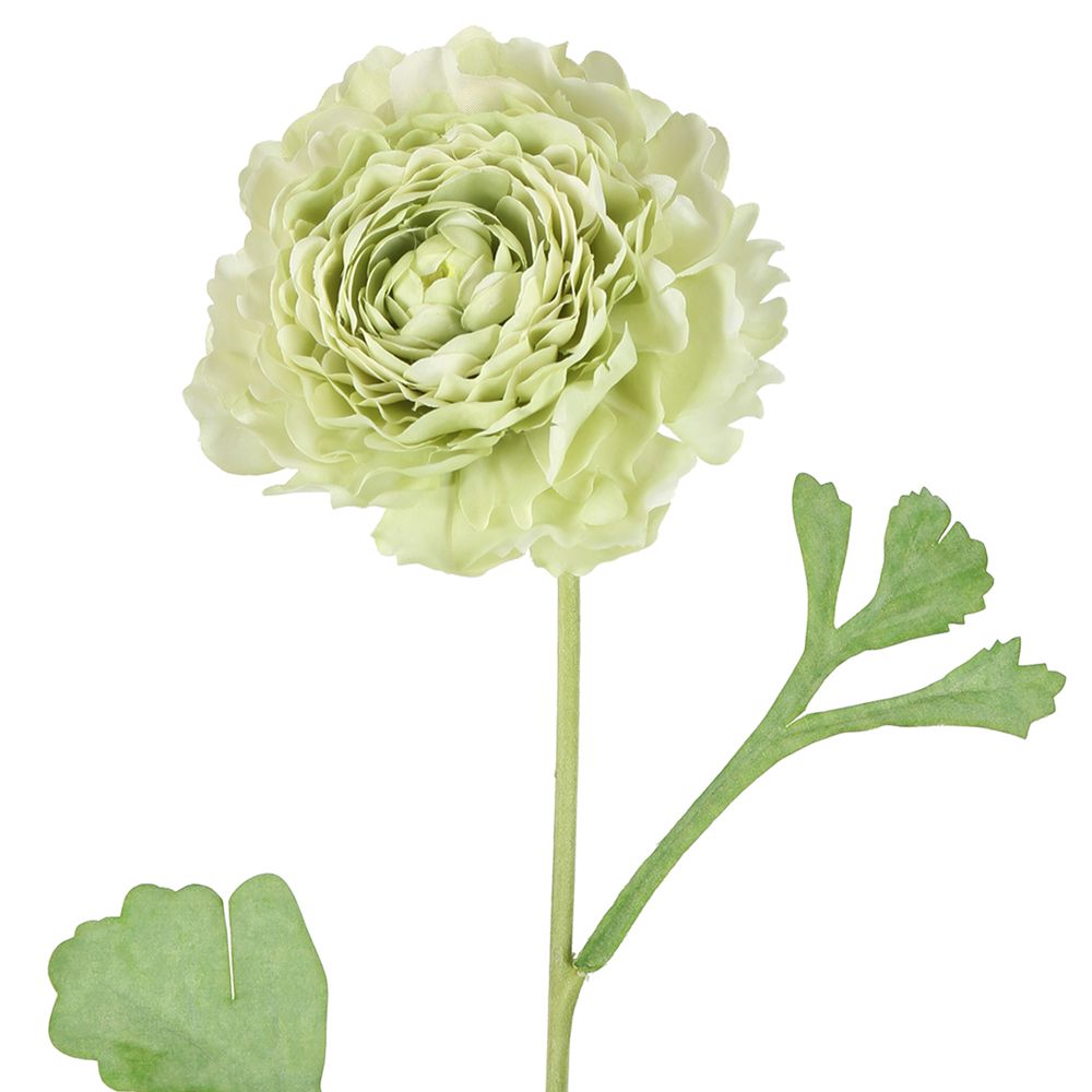 Ranunculus Stem 56Cm Green