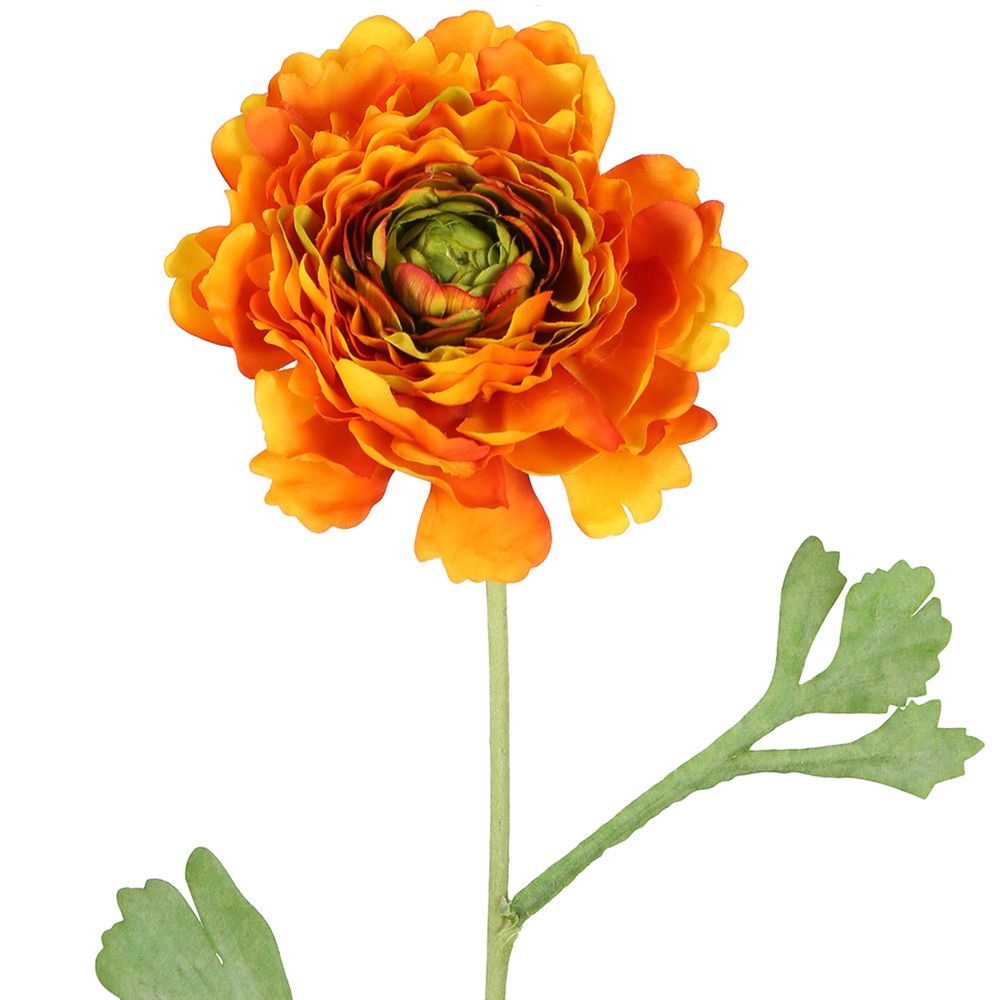 Ranunculus Stem 56Cm Orange