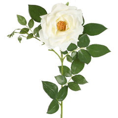 Chelsea Rose Stem 97Cm White