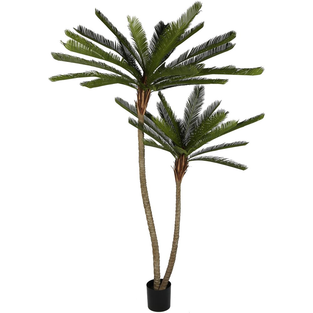 Cycus Palm Tree 220Cm