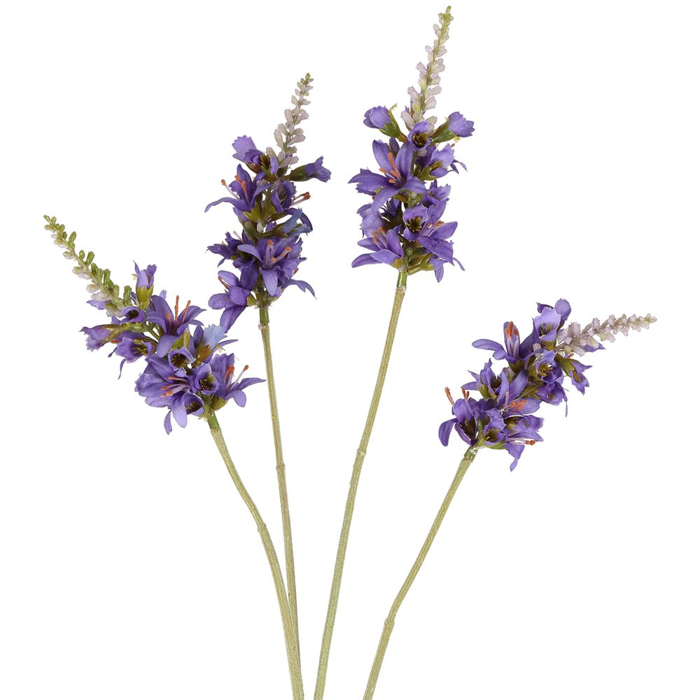 Salvia Nutans Sage Spray 84Cm Lavender