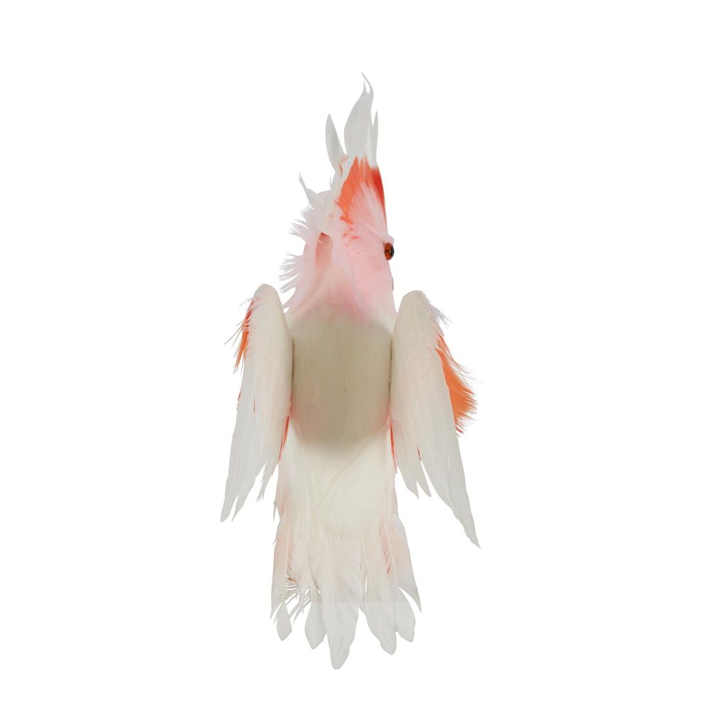 Galah Flying Bird Small Pink White