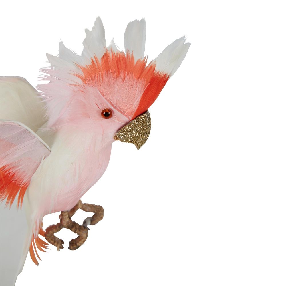 Galah Flying Bird Small Pink White