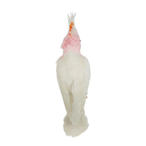 Galah Perched Bird Large Pink