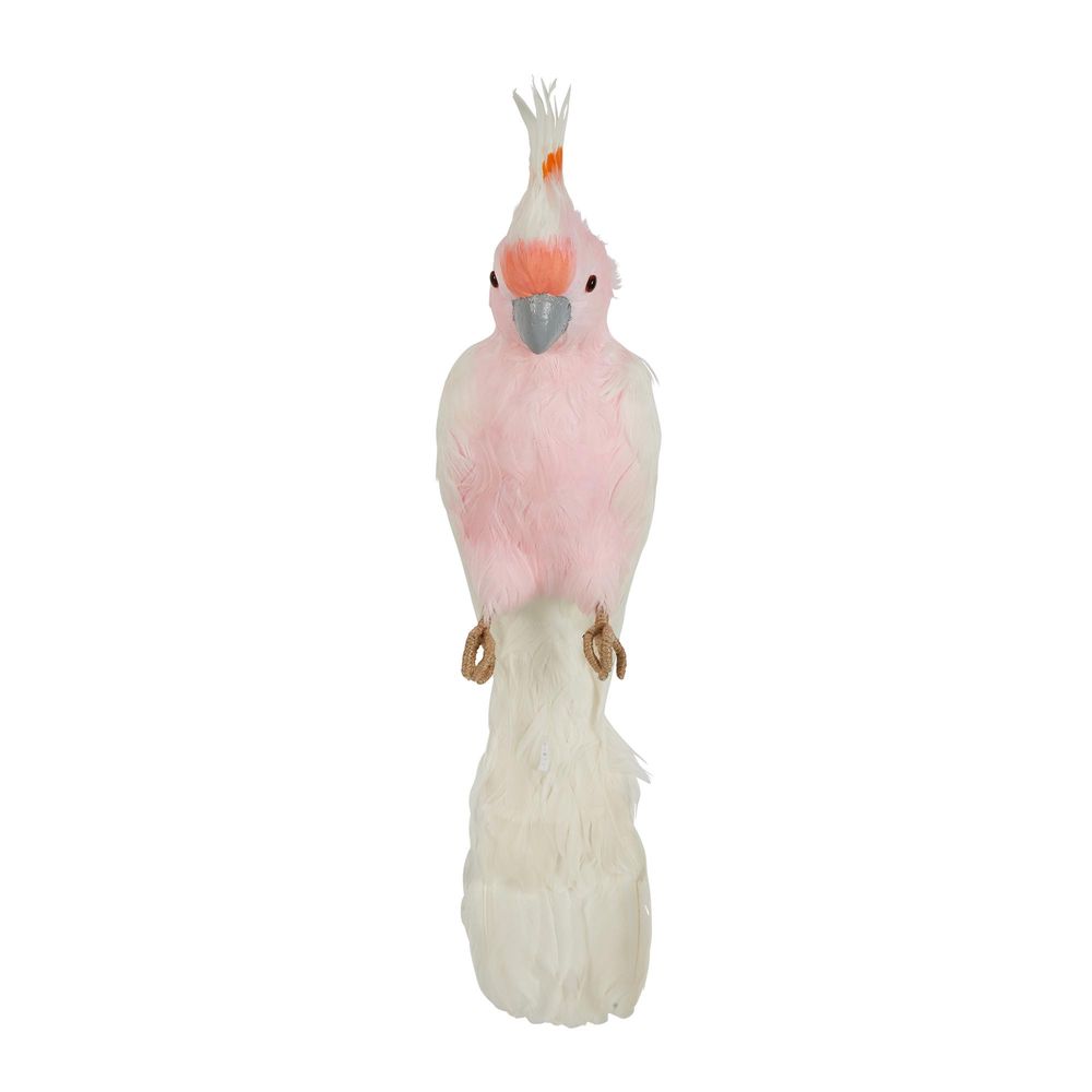 Galah Perched Bird Large Pink