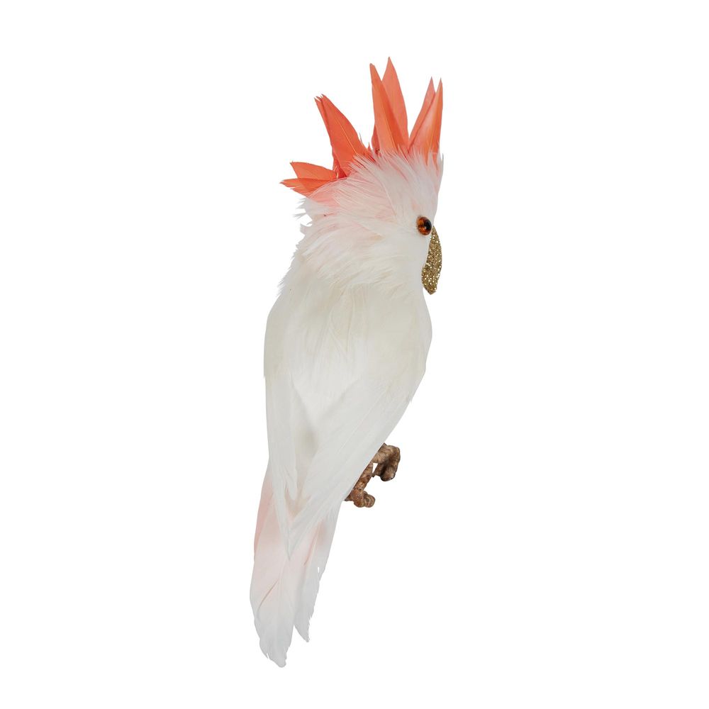 Galah Flying Bird Small White