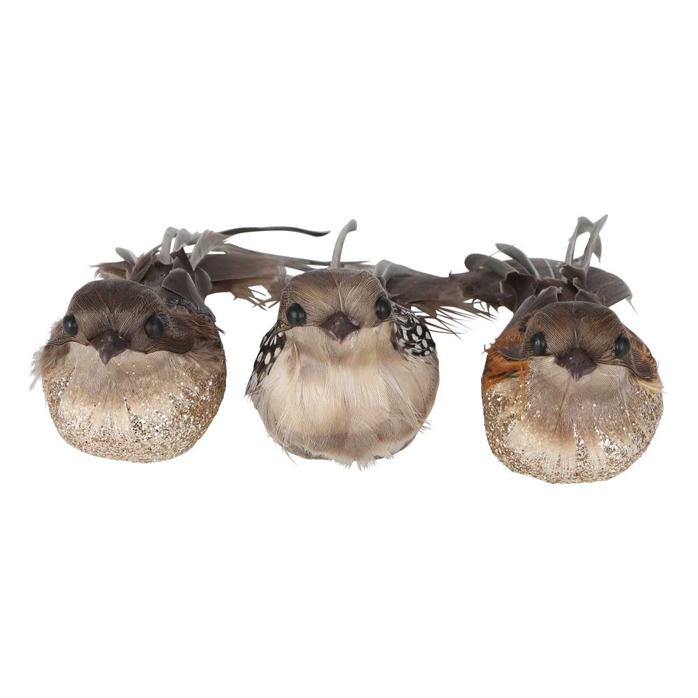 Woodland Boxed Set Of Three Clip On Birds Brown