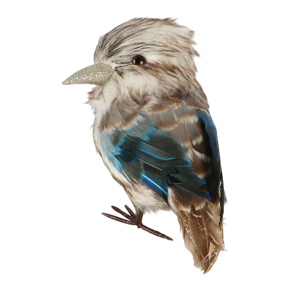 Kookaburra Medium