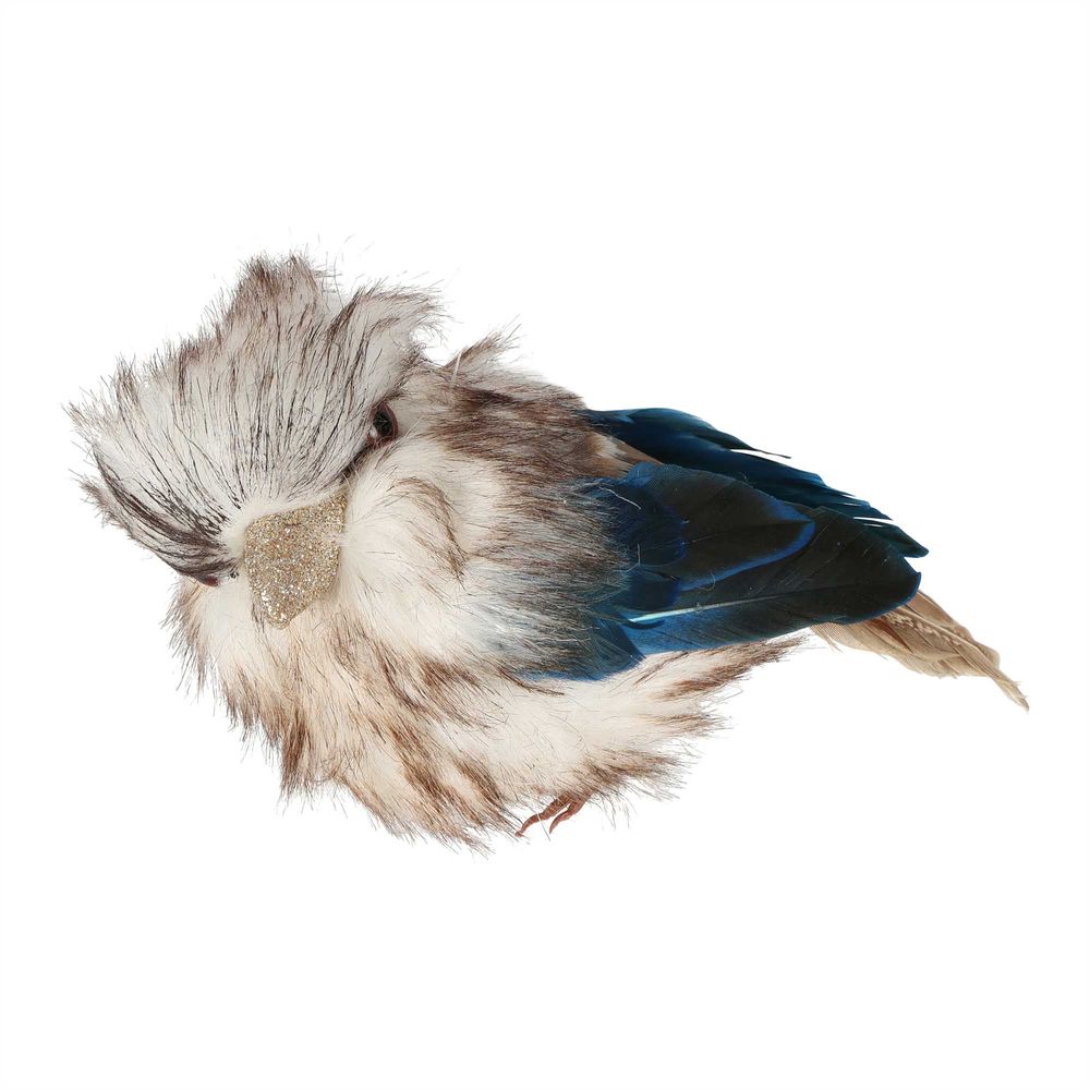 Kookaburra Small