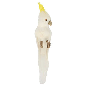 Bert The Cockatoo