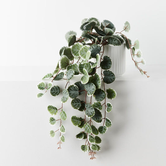 String of Hearts in White Pot