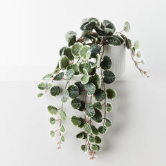 String of Hearts in White Pot