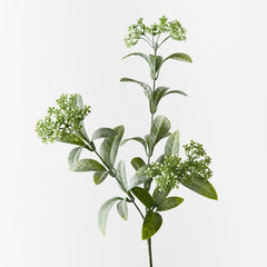 Tea Spray - Single Stem - 63cml