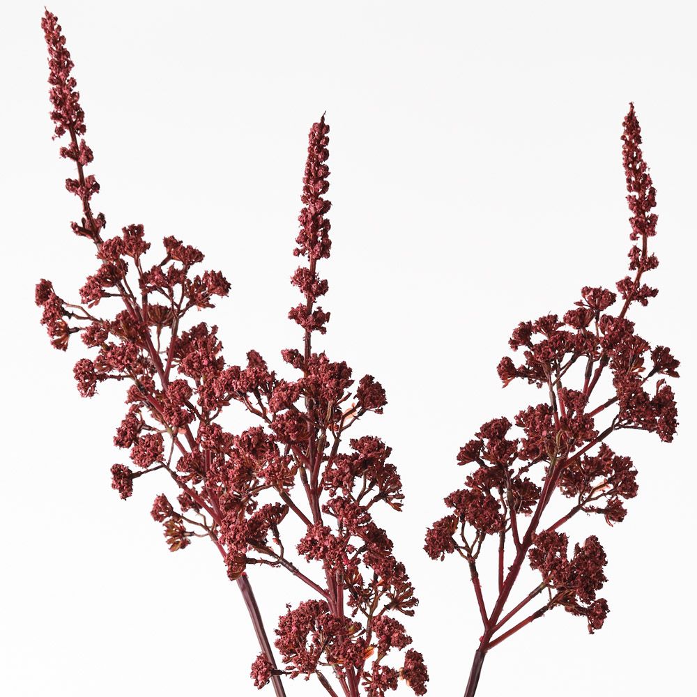 Cohosh Spray - Single Stem In Burgundy - 80cml