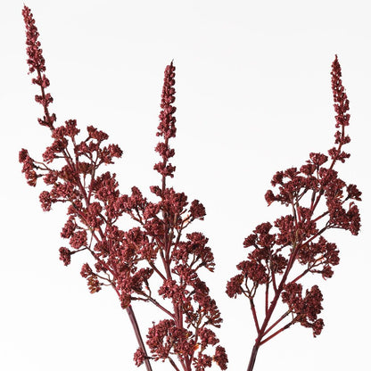 Cohosh Spray - Single Stem In Burgundy - 80cml