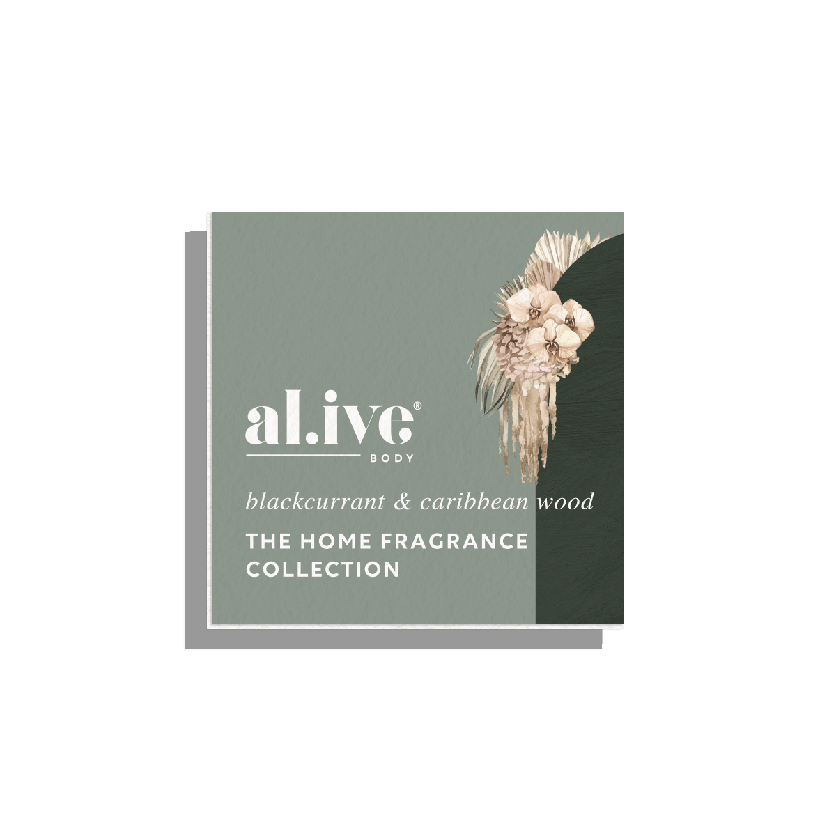 Fragrance Sample Card - Blackcurrant & Caribbean Wood
