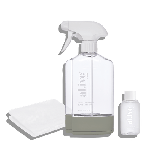Glass & Mirror Cleaning Kit