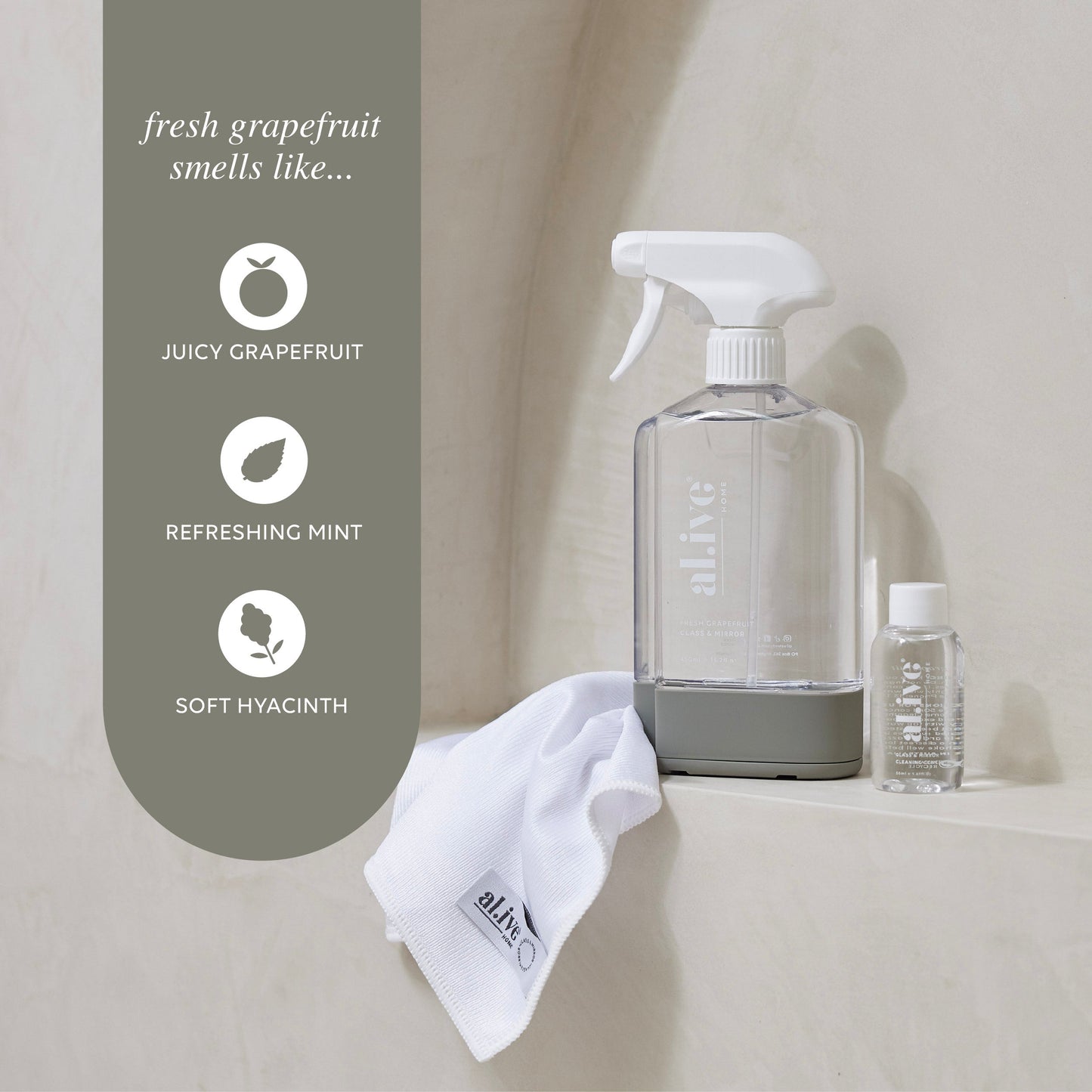 Glass & Mirror Cleaning Kit